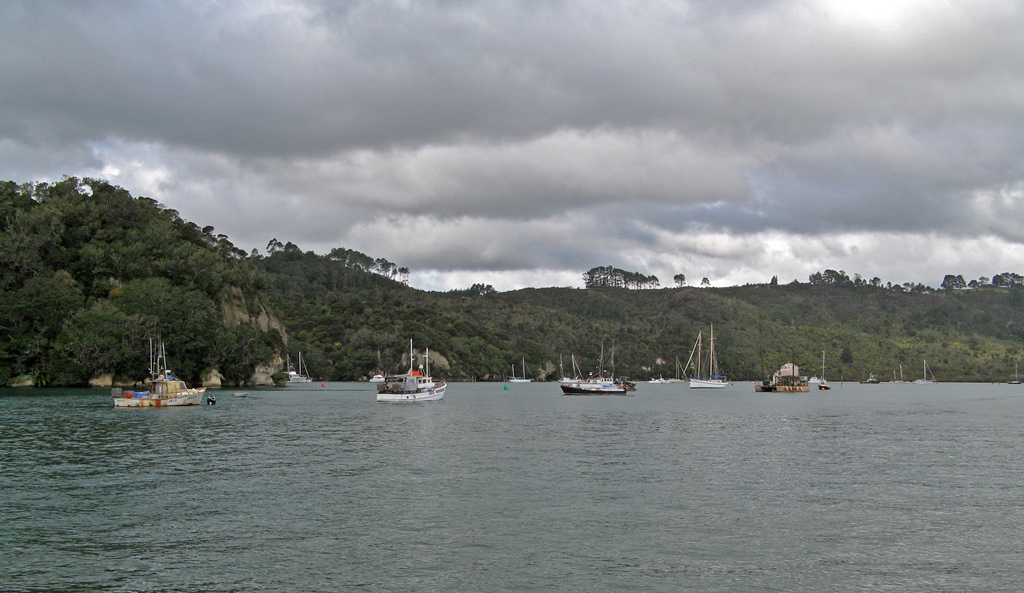 Moored Boats, Whitianga Harbour